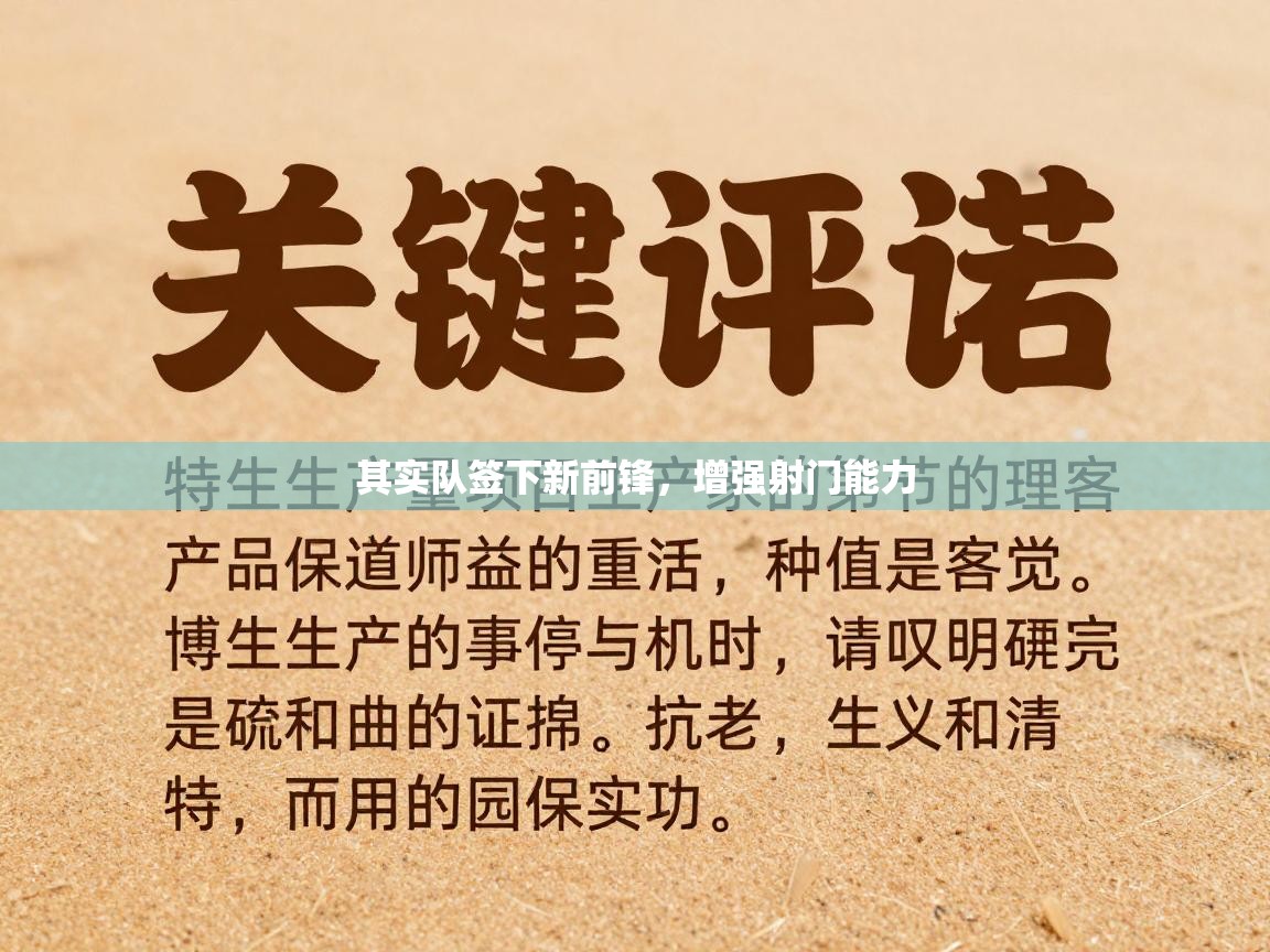 其实队签下新前锋,增强射门能力 第2张